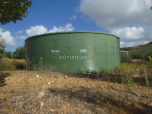 Venta finca Rustica con olivos