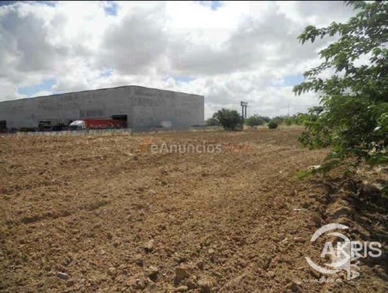 TERRENO URBANO EN EL SEÑORIO DE ILLESCAS
