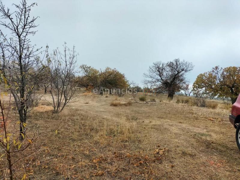 Casa Rústica en venta en Lecrín de 15800 m2