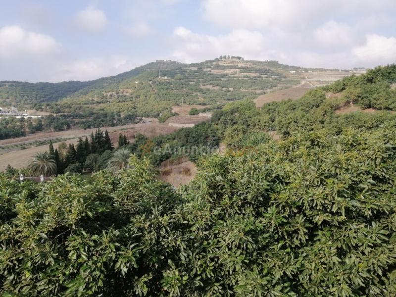 Suelo rústico en Venta en Motril Granada