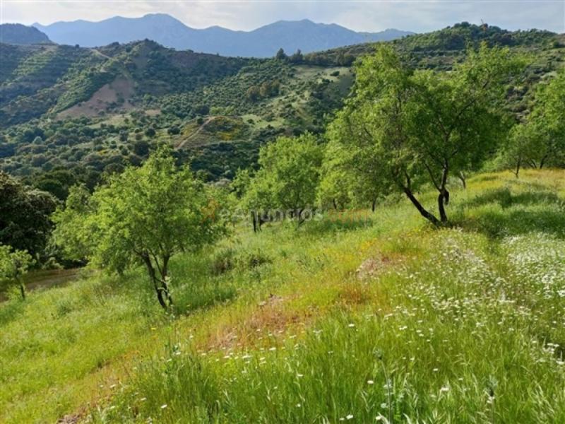 Parcela en Venta en Benadalid Málaga