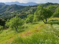 Parcela en Venta en Benadalid Málaga