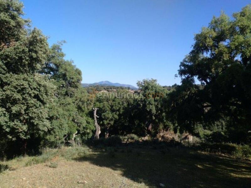 Parcela en Venta en Cortes De La Frontera Málaga