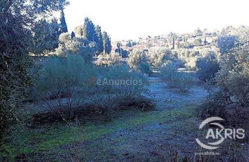 Terreno Urbano en el Sector del Beato, Olías del Rey