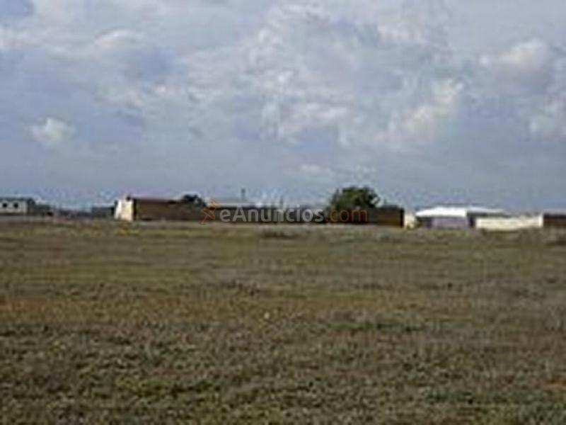 1 suelo urbanizable sector de 15791 m2.  Uso mayoritario residencial, de 8527 m2 de edificabilidad total, y con un máximo de 70 viviendas.