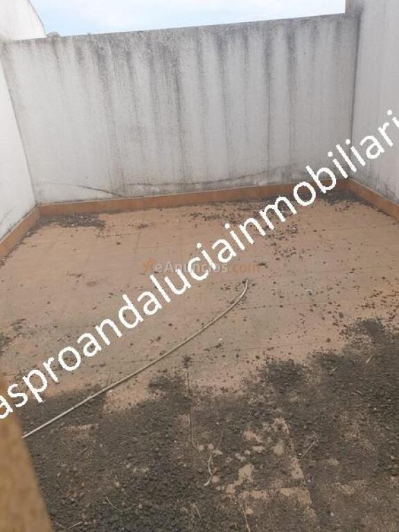 ADOSADO DE DOS PLANTAS NEGOCIAMOS EL PRECIO